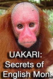 Uakari: Secrets of the English Monkey