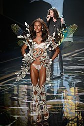 The Victoria’s Secret Fashion Show 2017