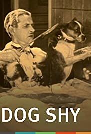 Dog Shy